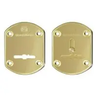 Накладки декоративные на сувальдный замок ГЛ 21