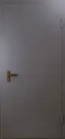 Техническая дверь №1 однопольная