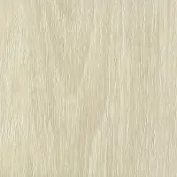 Дуб венгерский белый 62404