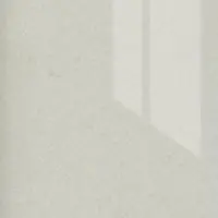 Белый (металлик) TF W 101-6T