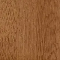 Срез дуба Р21015-01