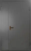 Техническая дверь №6 полуторная