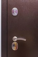 Входная дверь Маркус Комета сандал