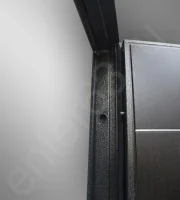 Входная дверь Маркус Вега