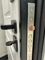 Входная дверь Маркус Палермо