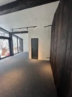 Межкомнатная стеклянная скрытая дверь Vega glass 59