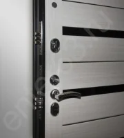 Входная дверь Маркус Триумф