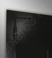 Входная дверь Маркус Триумф