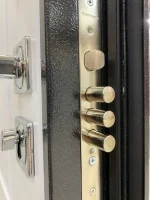 Входная дверь Маркус Триада