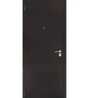 Входная дверь Тайгер Хит 1 Мини