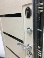 Входная дверь Маркус Комета серебро