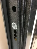 Входная дверь Маркус Нарцисс