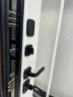 Входная дверь Маркус Венеция