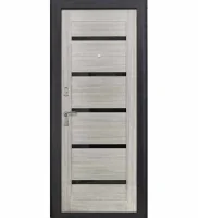 Входная дверь Тайгер Рио (антик серебро/грей)