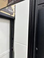 Входная дверь Маркус Термо Зеркало