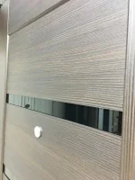 Входная дверь Маркус Комета серебро венге