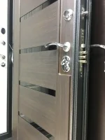 Входная дверь Маркус Комета серебро венге