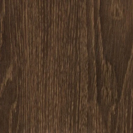 Дуб венгерский рыжий 62402