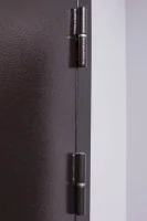 Входная дверь Маркус Комета сандал