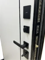 Дверь входная Берг Next