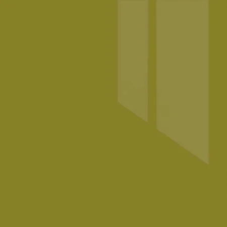 Олива (глянец) YG5005-06