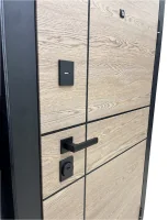 Дверь входная Берг Next