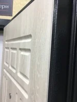 Входная дверь Маркус Рим