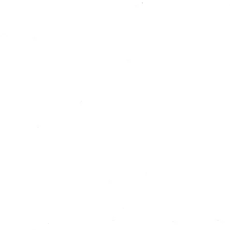 Белый снег софт ZB 00 800-2