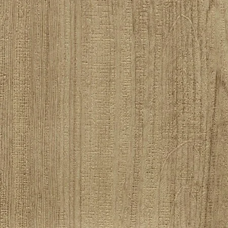 Ель карпатская