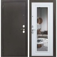 Дверь входная TRX Doors Нео Зеркало