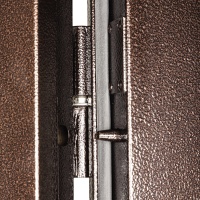 Металлическая дверь ПРОФИ PRO BMD ( Металл медный антик)