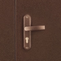 Металлическая дверь СПЕЦ DL (итальянский орех)