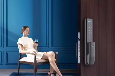 1000 series умный дверной замок Push-Pull черный, артикул 22234546